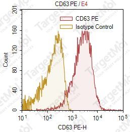 Anti-CD63 Antibody-PE (MEM-259)