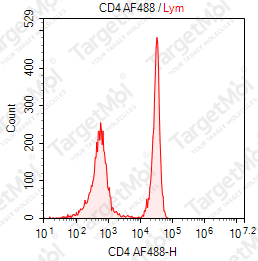 Anti-CD4 Antibody-AF488 (OKT4)