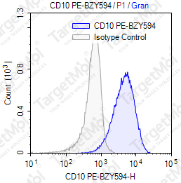 Anti-CD10 Antibody-PE-BZY594 (CB-CALLA)