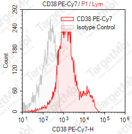 Anti-CD38 Antibody-PE-Cy7 (HIT2)
