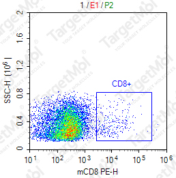 Anti-CD8 (Lyt2.1) Antibody-FITC (HB129/116-13.1)