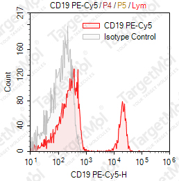 Anti-CD19 Antibody-PE-Cy5 (SJ25-C1)