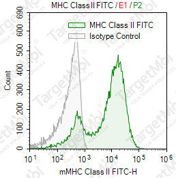 Anti-MHC Class II Antibody-FITC (NIMR-4)