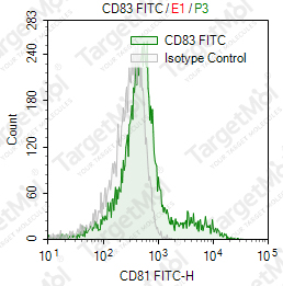 Anti-CD83 Antibody-FITC (HB15E)