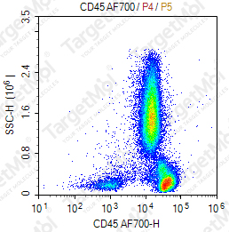 Anti-CD45 Antibody-AF700 (9.4)