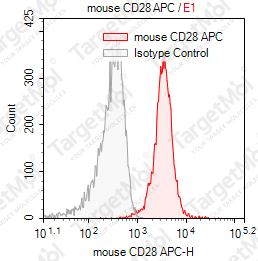 Anti-CD28 Antibody-APC (37.51)