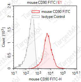 Anti-CD90 Antibody-FITC (T24/31)
