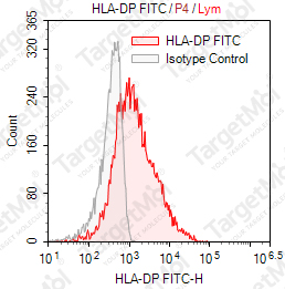 Anti-HLA-DP (MHC Class II) Monomorphic Antibody-FITC (B7/21)