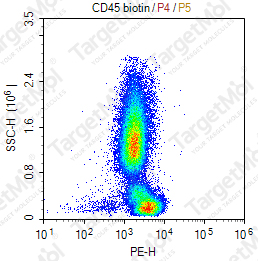 Anti-CD45 Antibody-Biotin (9.4)