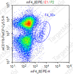Anti-F4/80 Antibody-PE (A3-1)