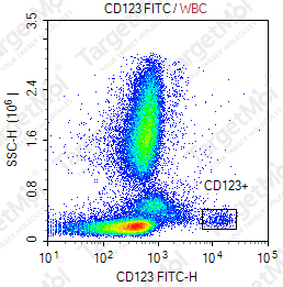 Anti-CD123 Antibody-FITC (6H6)