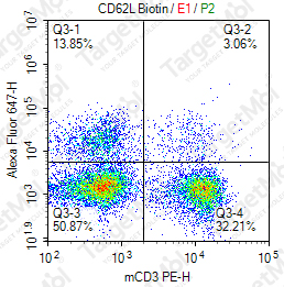 Anti-CD62L Antibody-Biotin (MEL-14)