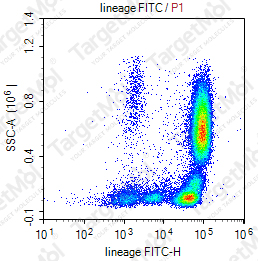 Anti-lineage Cocktail (CD3, CD14, CD16, CD19, CD20, CD56) Antibody-FITC