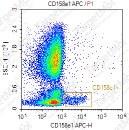 Anti-CD158e1 Antibody-APC (DX9)