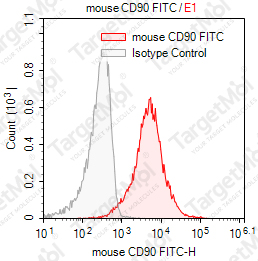 Anti-CD90 Antibody-FITC (G7)