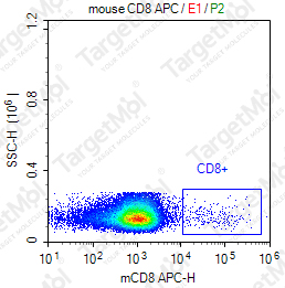 Anti-CD8 (Lyt2.1) Antibody-APC (HB129/116-13.1)
