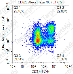 Anti-CD62L Antibody-AF700 (MEL-14)