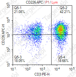 Anti-CD226 Antibody-APC (FMULeoA1)