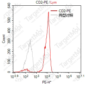 Anti-CD2 Antibody-PE (RPA-2-10)