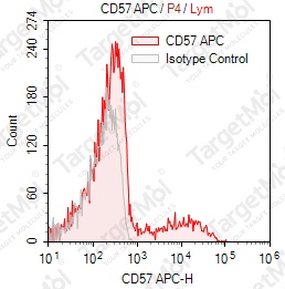Anti-CD57 Antibody-APC (HNK-1)