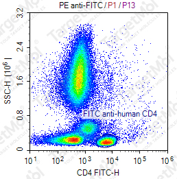 Anti-FITC Antibody-PE (1D10)