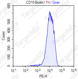 Anti-CD10 Antibody-Biotin (CB-CALLA)