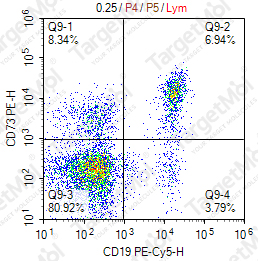 Anti-CD73 Antibody-PE (AD2)