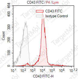 Anti-CD43 Antibody-FITC (MEM-59)