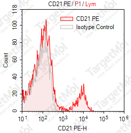 Anti-CD21 Antibody-PE (BU32)