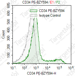 Anti-CD34 Antibody-PE-BZY594 (581)