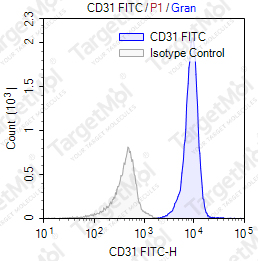 Anti-CD31 Antibody-FITC (P2B1)