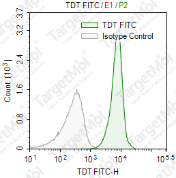 Anti-TDT Antibody-FITC (TDT.6)