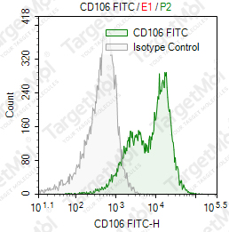 Anti-CD106 Antibody-FITC (BK9)