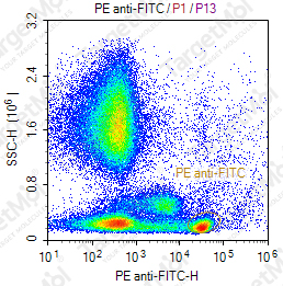 Anti-FITC Antibody-PE (1D10)
