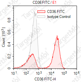 Anti-CD36 Antibody-FITC (2A2)