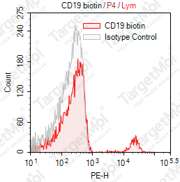 Anti-CD19 Antibody-Biotin (CB19)