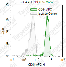 Anti-CD64 Antibody-APC (10.1)