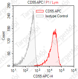 Anti-CD55 Antibody-APC (67)