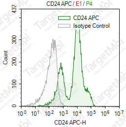 Anti-CD24 Antibody-APC (30-F1)