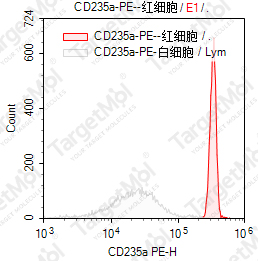 Anti-CD235a Antibody-PE (JC159)