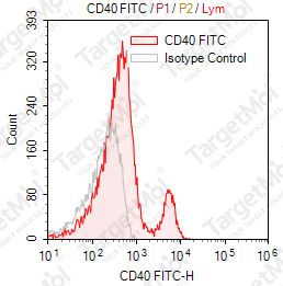 Anti-CD40 Antibody-FITC (3A8)