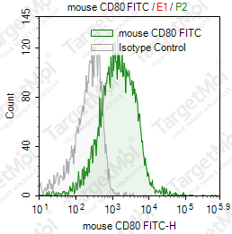 Anti-CD80 Antibody-FITC (1G10)