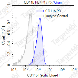Anti-CD11b Antibody-Pacific Blue (M1/70)