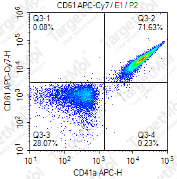 Anti-CD61 Antibody-APC-Cy7 (8B3)