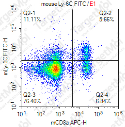 Anti-Ly-6C Antibody-FITC (HK1.4)