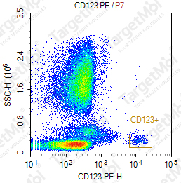 Anti-CD123 Antibody-PE (6H6)