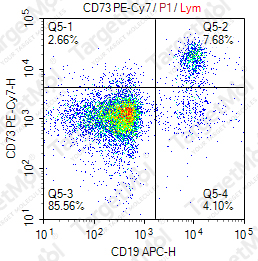 Anti-CD73 Antibody-PE-Cy7 (AD2)