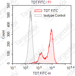 Anti-TDT Antibody-FITC (41A)