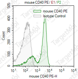 Anti-CD40 Antibody-PE (FGK45)