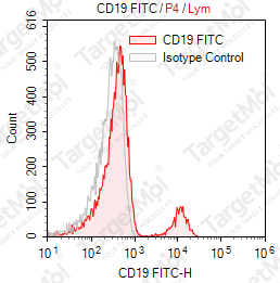 Anti-CD19 Antibody-FITC (CB19)